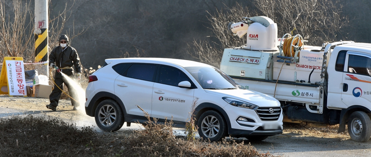 ▲경북 상주시 소재 한 산란계 농장에서 고병원성 조류인플루엔자(AI)가 발생한 2일 오후 가축 위생방역지원본부 관계자들이 조류인플루엔자(AI)가 발생한 산란계 농장 입구에서 차량을 방역하고 있다. (뉴시스)