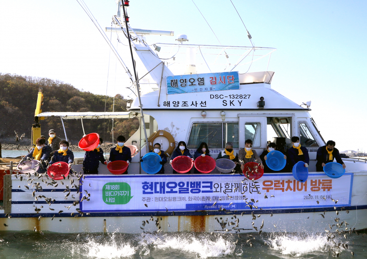 ▲현대오일뱅크 임직원들이 삼길포항에 새끼 우럭 20만 마리를 방류하고 있다. (사진제공=현대오일뱅크)