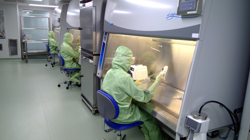 (사진제공=강스템바이오텍)