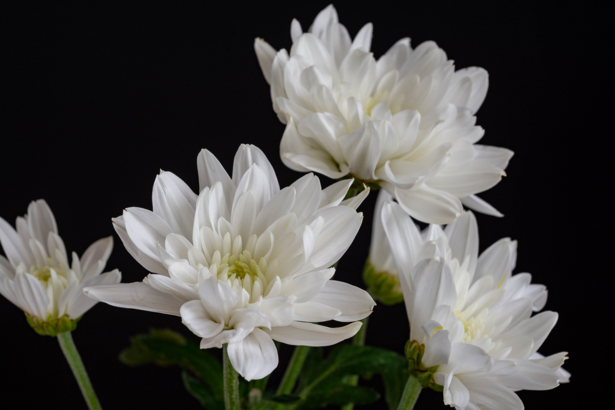 (게티이미지뱅크)