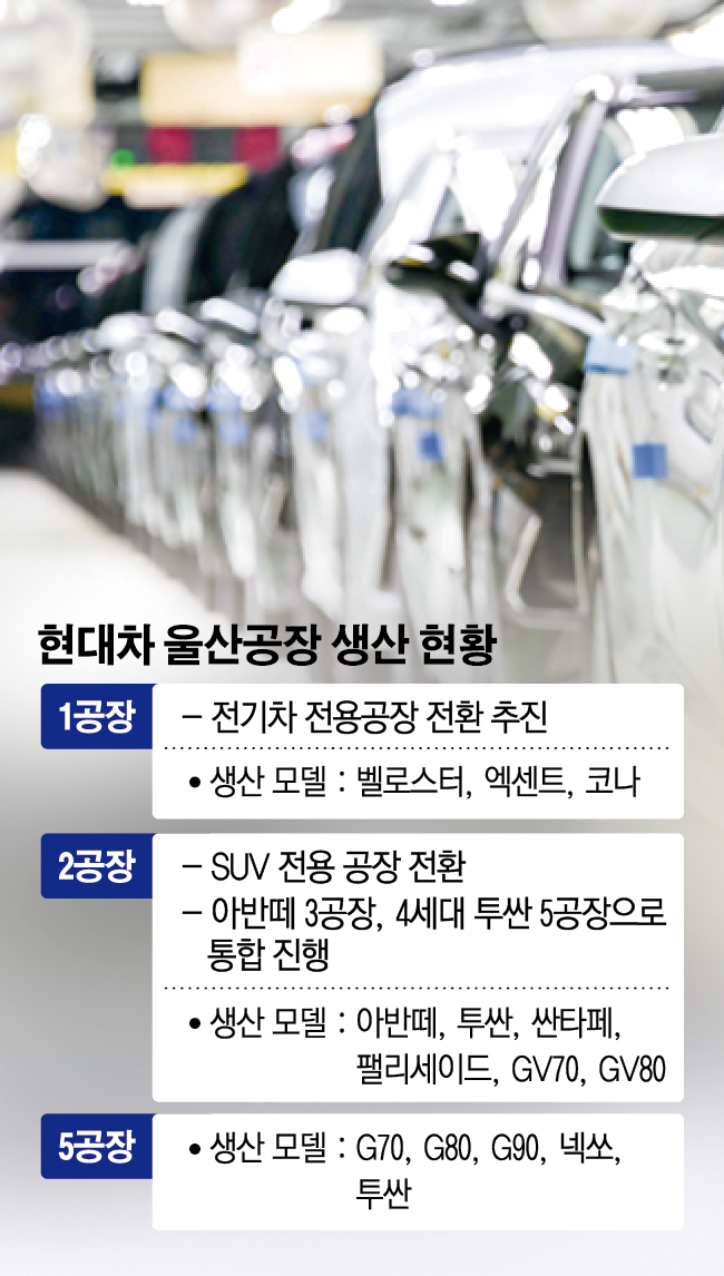 (그래픽=신미영 기자 win8226@)