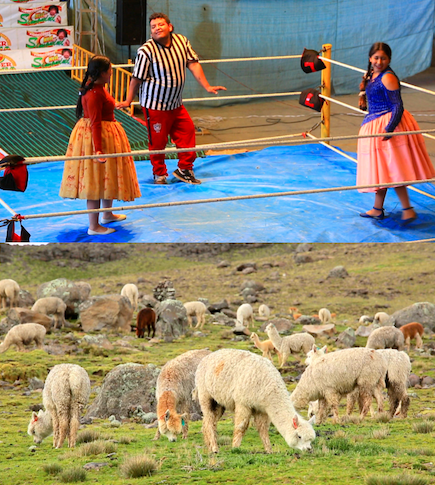 ▲'세계테마기행'(사진제공=EBS1)