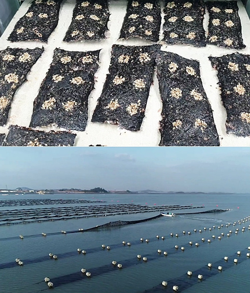 ▲'극한 직업'(사진제공=EBS1)