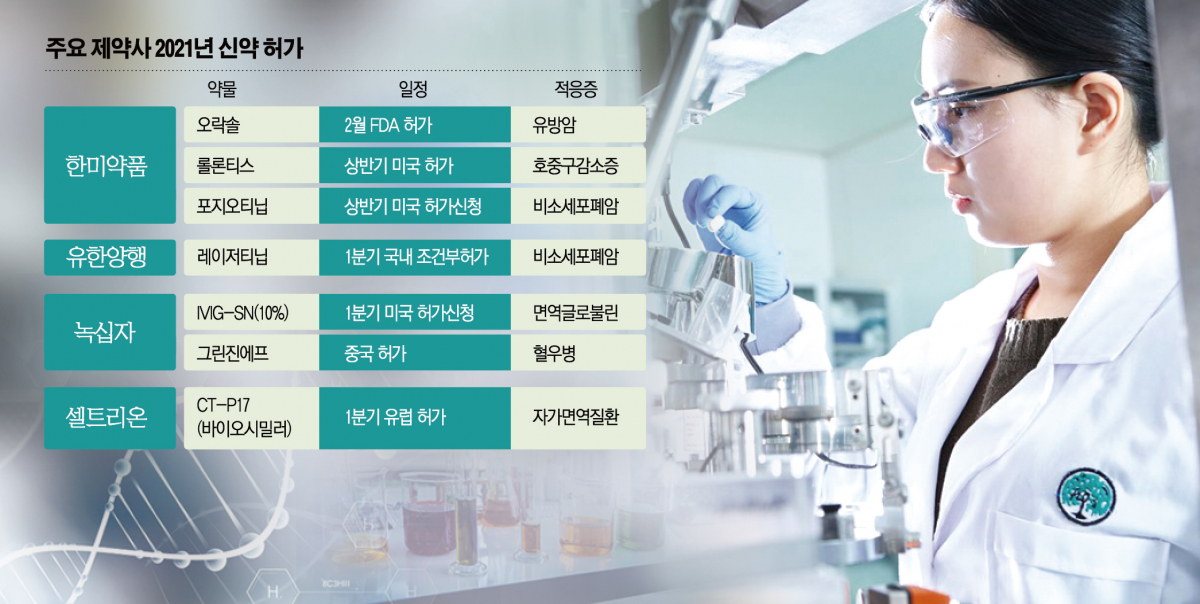 (그래픽=신미영 기자 win8226@)