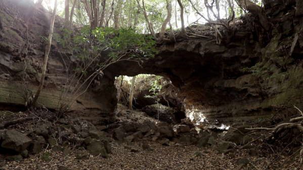 ▲'아주 각별한 기행'(사진제공=EBS1)