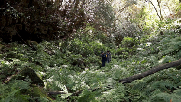 ▲'아주 각별한 기행'(사진제공=EBS1)