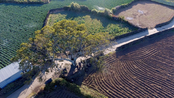 ▲'아주 각별한 기행'(사진제공=EBS1)