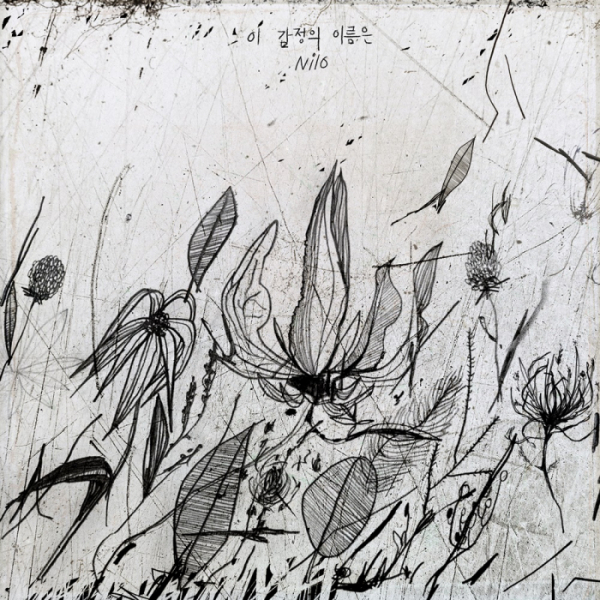 ▲닐로(사진=리메즈엔터테인먼트 제공)