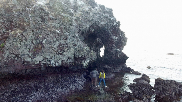 ▲'아주 각별한 기행'(사진제공=EBS1)