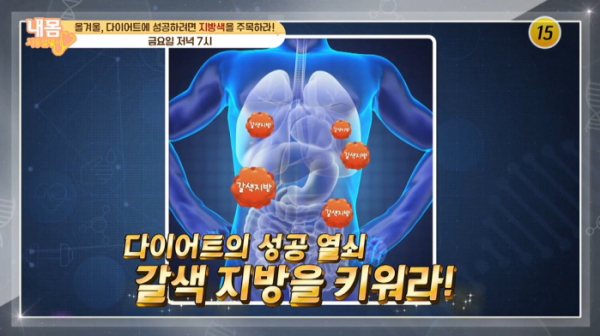 ▲'내몸사용설명서'(사진제공=TV조선)