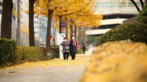 ▲'김영철의 동네 한 바퀴'(사진제공=KBS 1TV)