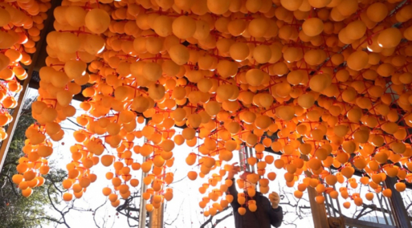 ▲'다큐멘터리 3일'(사진제공=KBS 2TV)