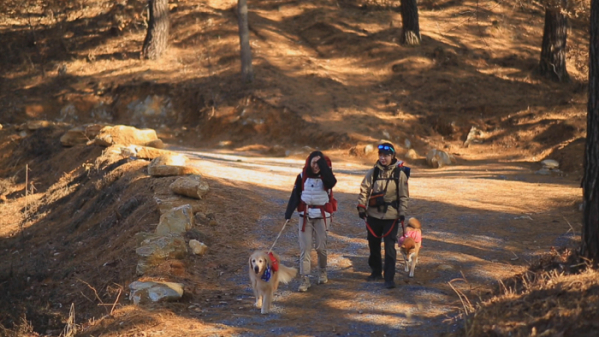 ▲'아주 각별한 기행'(사진제공=EBS1)