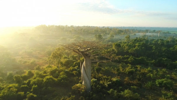 ▲'세계테마기행'(사진제공=EBS1)