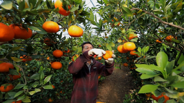 ▲'한국기행'(사진제공=EBS1)