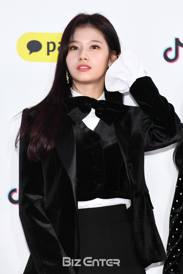 ▲트와이스 사나 코로나19 진단 결과 음성(비즈엔터DB)