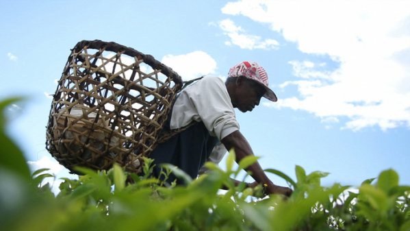 ▲'세계테마기행' 마다가스카르(사진제공=EBS1)