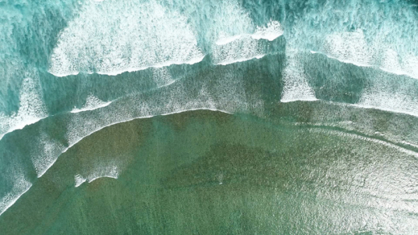 ▲'세계테마기행' 마다가스카르(사진제공=EBS1)