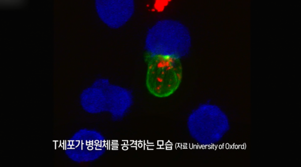 ▲'생로병사의 비밀'(사진제공=KBS 1TV)