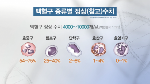 ▲'생로병사의 비밀'(사진제공=KBS 1TV)