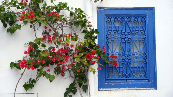 ▲'세계테마기행'(사진제공=EBS1)