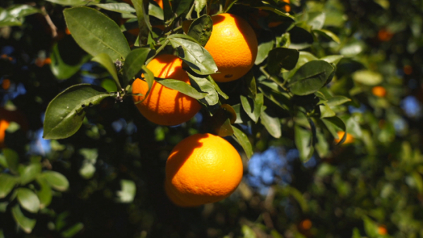 ▲'세계테마기행'(사진제공=EBS1)