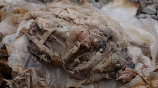 ▲'한국인의 밥상'(사진제공=KBS 1TV)