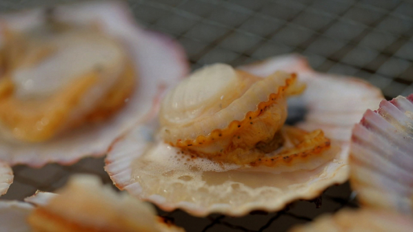 ▲'한국기행'(사진제공=EBS1)