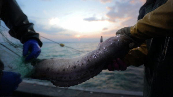 ▲'한국기행'(사진제공=EBS1)