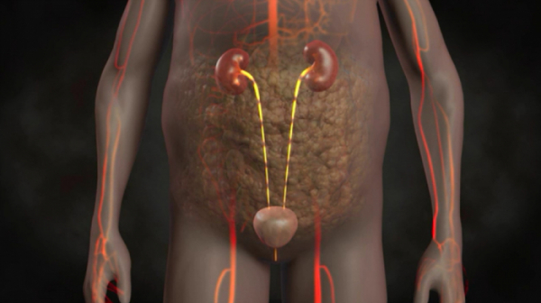 ▲'명의' 만성콩팥병(사진제공=EBS1)