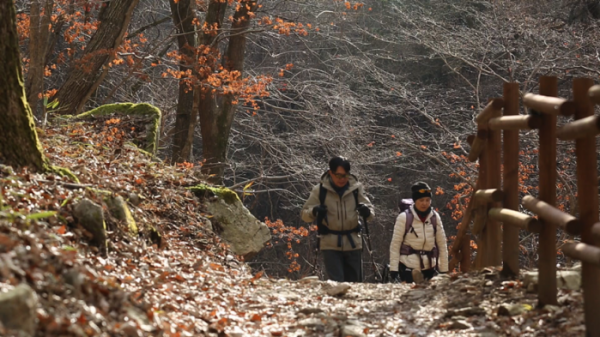 ▲'영상앨범 산'(사진제공=KBS 2TV)