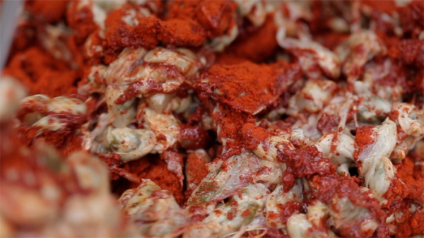 ▲'아주 각별한 기행'(사진제공=EBS1)