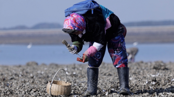 ▲'아주 각별한 기행'(사진제공=EBS1)