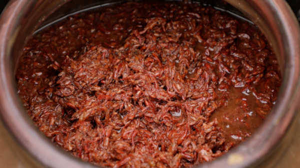 ▲'아주 각별한 기행'(사진제공=EBS1)