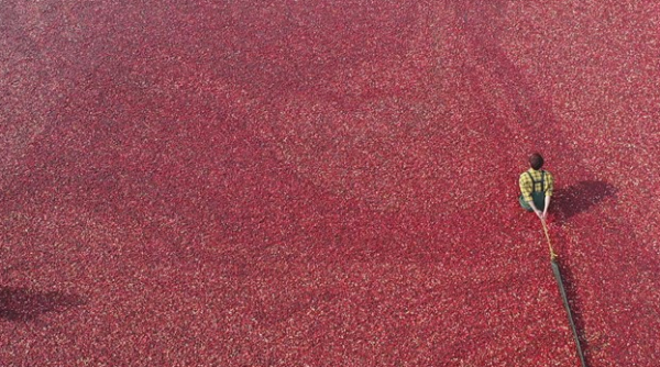 ▲'세계테마기행'(사진제공=EBS1)