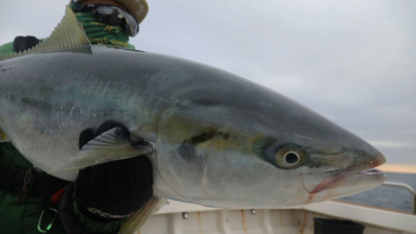 ▲‘관찰카메라 24’(사진제공=채널A)