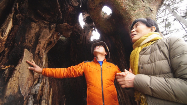 ▲'한국기행'(사진제공=EBS1)