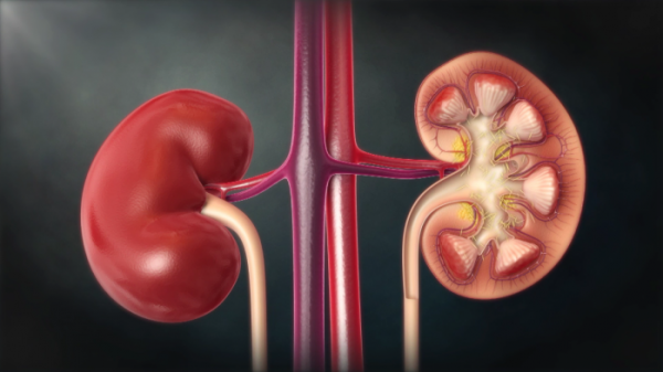 ▲'명의'(사진제공=EBS1)