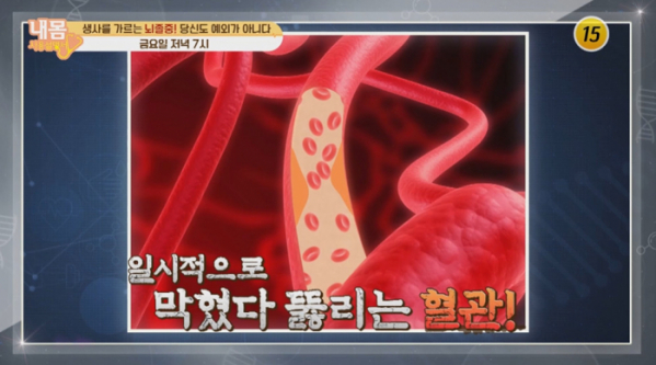 ▲'내몸사용설명서'(사진제공=TV조선)