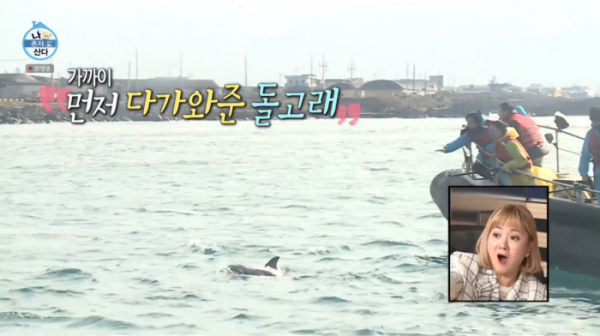 ▲'나혼산' 돌고래(사진제공=MBC)
