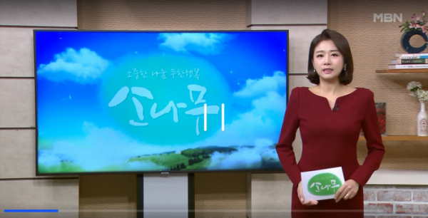 ▲'소나무'(사진제공=MBN)