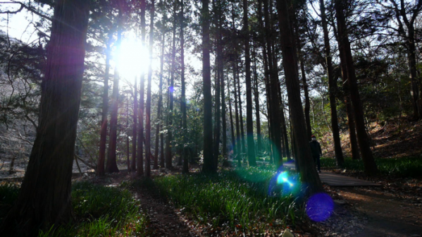 ▲'영상앨범 산' 두륜산(사진제공=KBS 2TV)