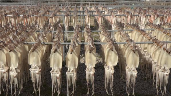 ▲'다큐멘터리 3일' 구룡포(사진제공=KBS 1TV)