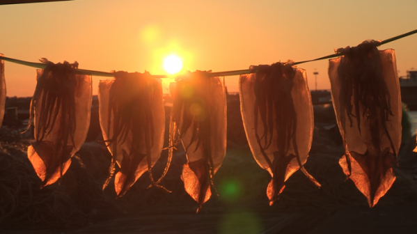 ▲'다큐멘터리 3일' 구룡포(사진제공=KBS 1TV)