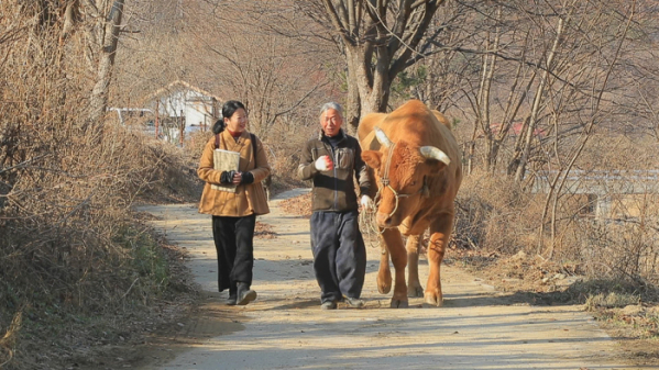 ▲'아주 각별한 기행'(사진제공=EBS1)