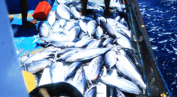 ▲'세계테마기행'(사진제공=EBS1)