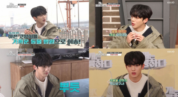 ▲'개는 훌륭하다' 김요한(사진제공=KBS2)