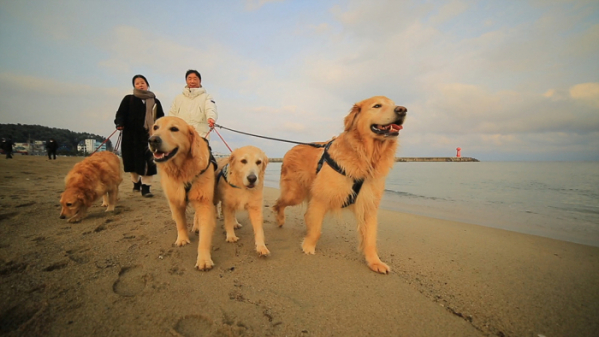 ▲'아주 각별한 기행'(사진제공=EBS1)