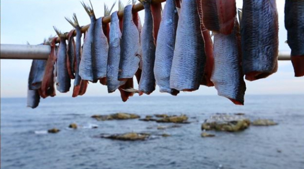 ▲'극한직업'(사진제공=EBS1)