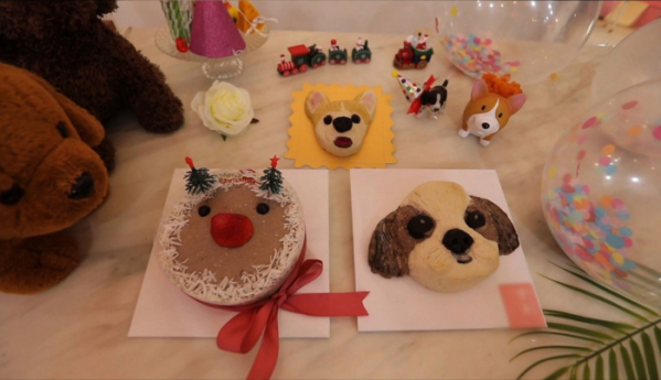 ▲'관찰카메라 24'(사진제공=채널 A)